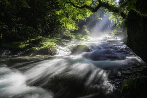 熊本-【菊池渓谷の光芒】 熊本,菊池渓谷,川の写真素材