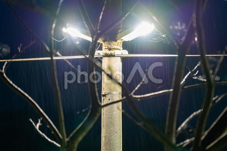 雨が降る夜の街灯 雨,街灯,光の写真素材