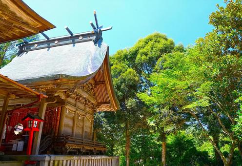 真夏の神社 真夏の神社 神社,お参り,夏の写真素材