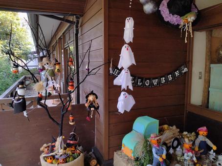 岐阜の自然発見館の展示の写真