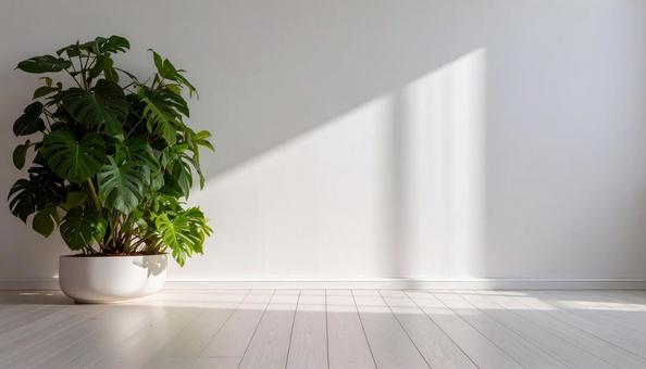 植物と白バックの写真