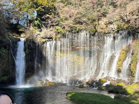 白糸の滝 風景,自然,滝の写真素材