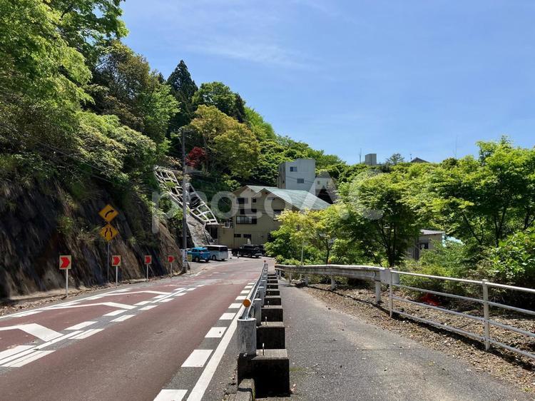 粟又の滝展望台周辺の風景 粟又の滝,展望台,新緑の写真素材