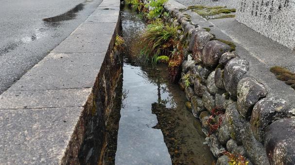 水路のある田舎道 水路のある田舎道の写真