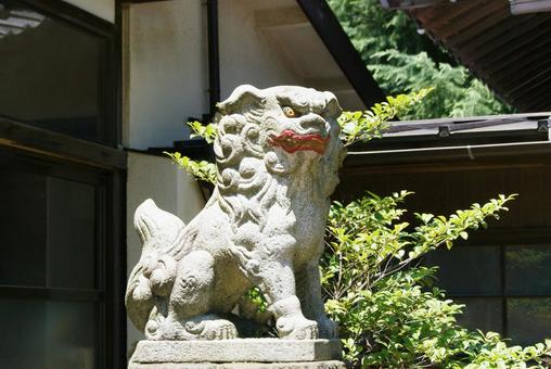 狛犬の吽 狛犬の吽 神社,狛犬,阿吽の写真素材