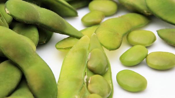 枝豆(茶豆) 枝豆(茶豆)の写真
