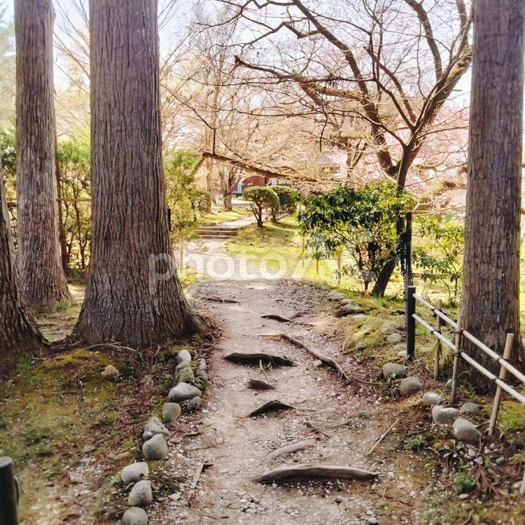 中尊寺の風景 2025 中尊寺,岩手県,平泉の写真素材