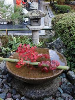 圓光寺　十牛之庭の水琴窟 圓光寺,十牛之庭,水琴窟の写真素材