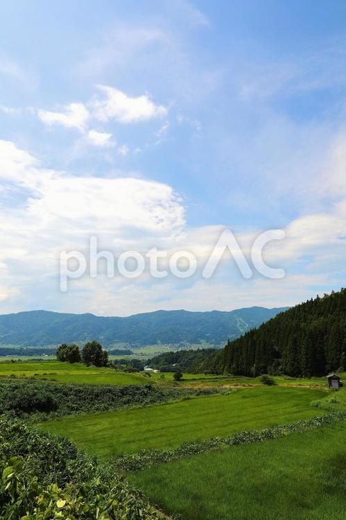 田んぼの風景2 自然,山,風景の写真素材