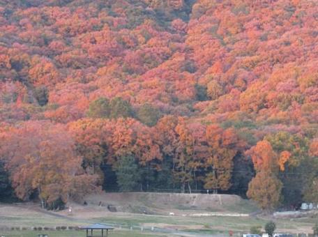 秋の山と公園 秋の山と公園の写真