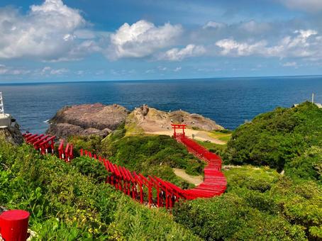 山口県長門市 元乃隅神社 山口県長門市 元乃隅神社 元乃隅神社,山口県,長門市の写真素材