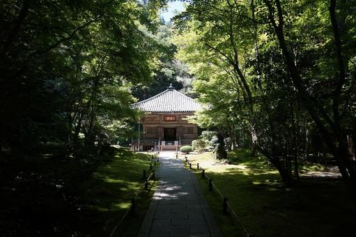 円通院 円通院 松島,松島海岸,円通院の写真素材