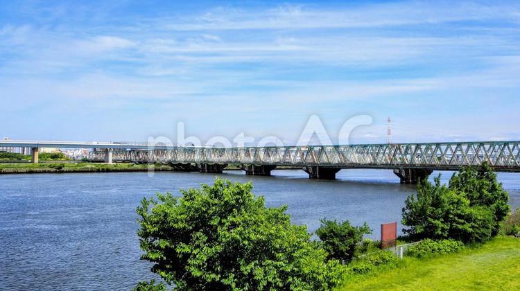 初夏の荒川・新緑の葉＆鉄橋・江戸川区平井 初夏,荒川,平井運動公園の写真素材