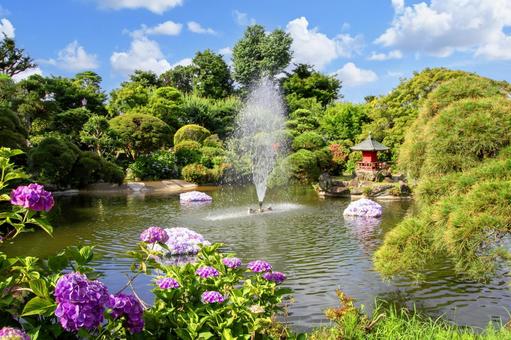 紫陽花と日本庭園の写真