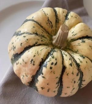 ハロウィン ハロウィンの写真