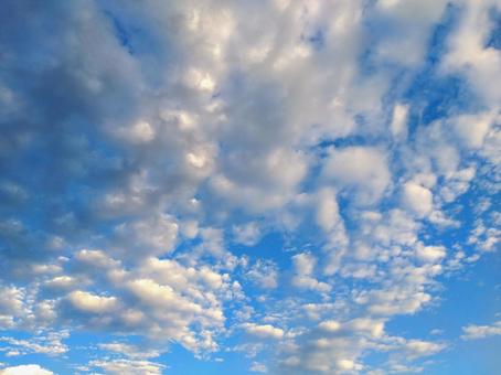 秋の空模様の写真