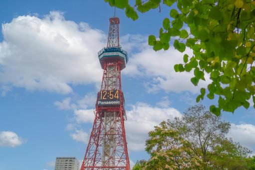 さっぽろテレビ塔 さっぽろテレビ塔 札幌,テレビ塔,大通公園の写真素材