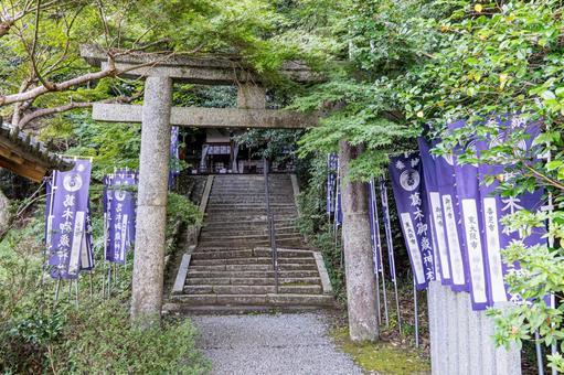 奈良 葛木御歳神社 大鳥居 奈良 葛木御歳神社 大鳥居 葛木御歳神社,神社,中鴨社の写真素材