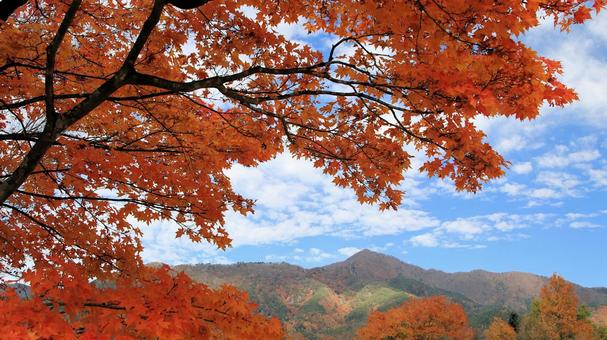 河口湖の紅葉と御坂黒岳 紅葉,秋,河口湖の写真素材