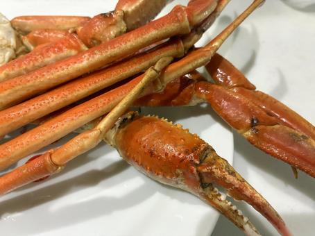蟹のツメと足 蟹のツメと足の写真