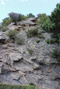玉津島神社　伽羅岩 玉津島神社,伽羅岩,たまつしまじんじゃの写真素材