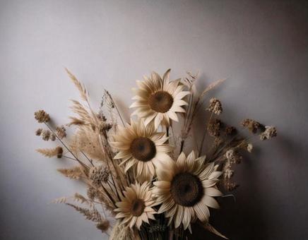 花 花の写真