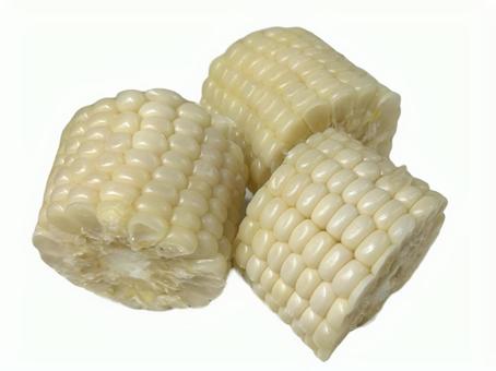 白い とうもろこし 白い とうもろこし とうもろこし,夏野菜,白いの写真素材