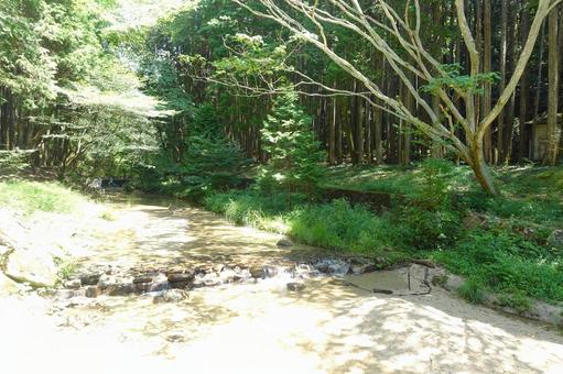 ねむの森_愛知県瀬戸市 ねむの森_愛知県瀬戸市の写真