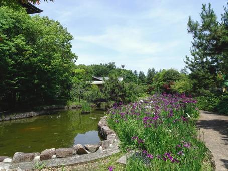 野添北公園 野添北公園の写真