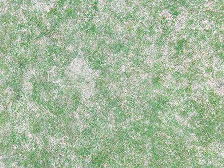 緑の絨毯 緑,芝生,自然の写真素材