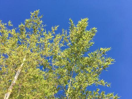 照片, 碧落, 晴天, 自然, 