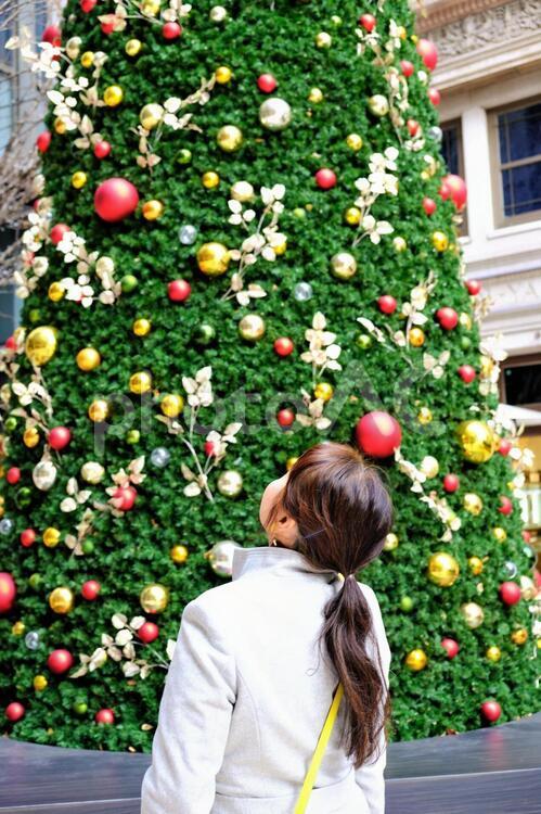 クリスマスツリーを見上げる女性 クリスマス,クリスマスツリー,コートの写真素材