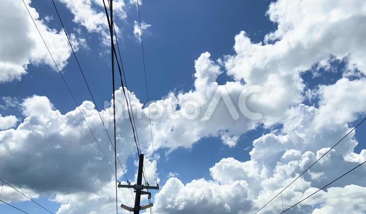 電線とさわやかな夏空 青空,雲,電柱の写真素材