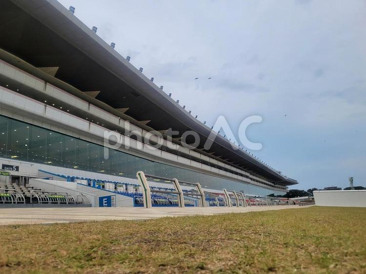 曇りの日の競馬場3 競馬場,曇り,曇天の写真素材