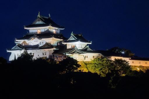 夜の和歌山城 夜の和歌山城の写真