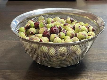 ローゼルの種 ローゼル,種,ざるの写真素材