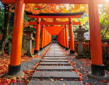 鳥居 鳥居の写真