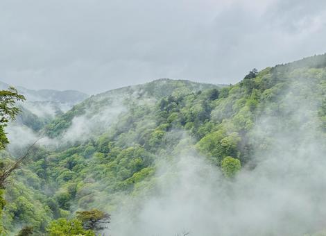 霧の風景 霧の風景 霧,雲,雨の写真素材