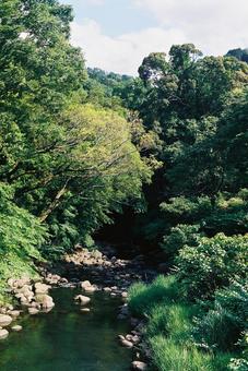 川のほとり 川のほとりの写真