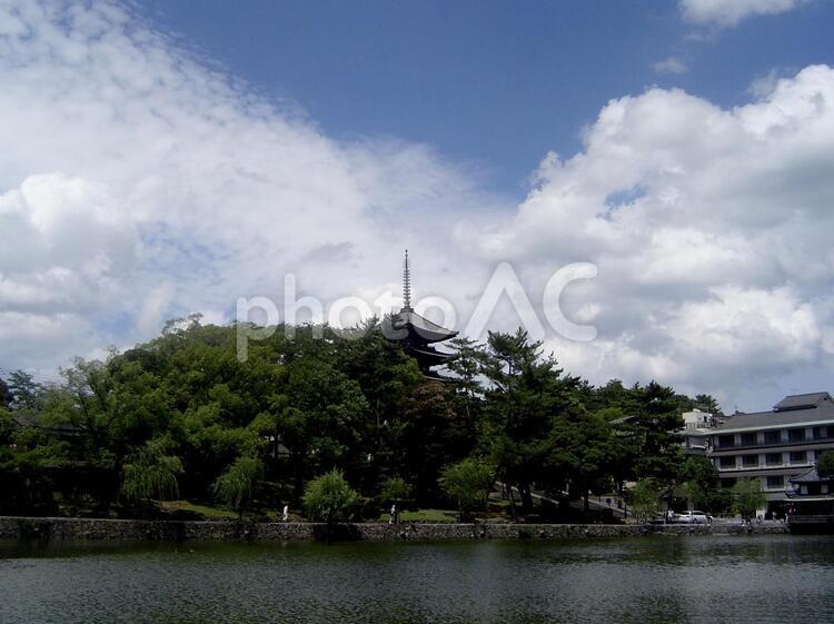 奈良、猿沢池から見た興福寺 猿沢池,奈良,奈良県の写真素材