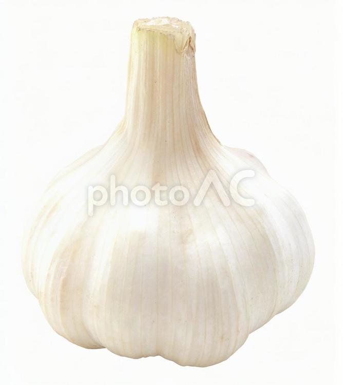 にんにく（PSD切抜用パス付） にんにく,ニンニク,パスの写真素材