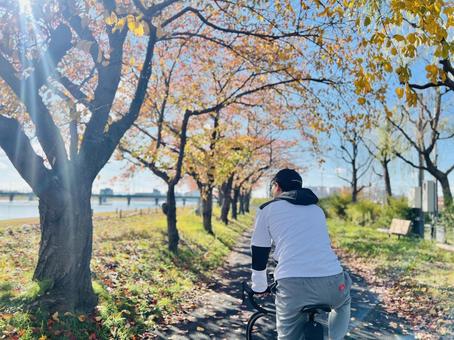 紅葉　自転車を漕ぐ男性　後ろ姿 サイクリング,自転車,ロードバイクの写真素材