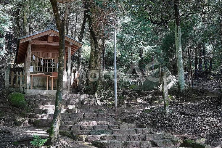 滋賀県　白髭神社　岩戸社への参道④ パワースポット,滋賀県,白髭神社の写真素材