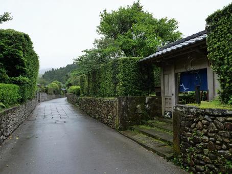 知覧 武家屋敷通り 知覧 武家屋敷通り 知覧,武家屋敷通り,鹿児島の写真素材