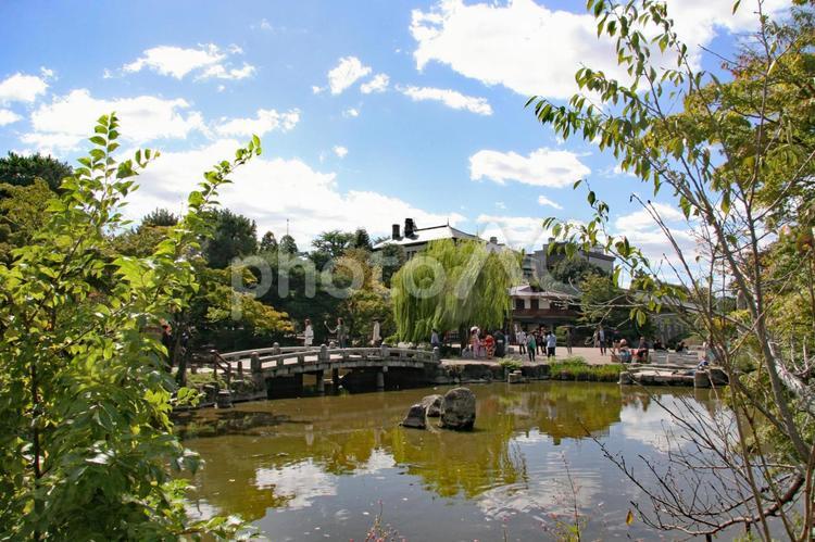 京の公園風景 公園,京,池の写真素材