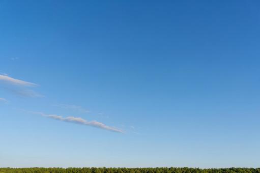 青空が広がる穏やかな自然 青空,晴れ,快晴の写真素材