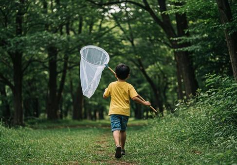 ある夏の日 ある夏の日の写真