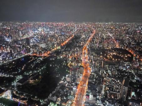 あべのハルカスからの夜景 あべのハルカスからの夜景の写真