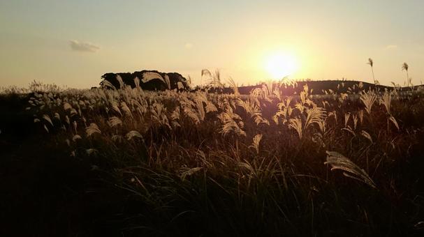 秋吉台の夕日とすすき 秋吉台の夕日とすすき すすき,秋吉台,秋の写真素材