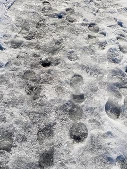 凍った足跡の写真